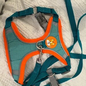 Amazon Teal and Orange Padded Dog Harness with Teal Leash